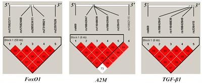 Association Between FoxO1, A2M, and TGF-β1, Environmental Factors, and Major Depressive Disorder